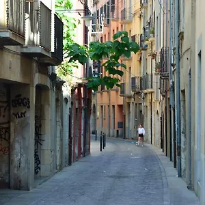 Apartment Housing Ginesta 9
